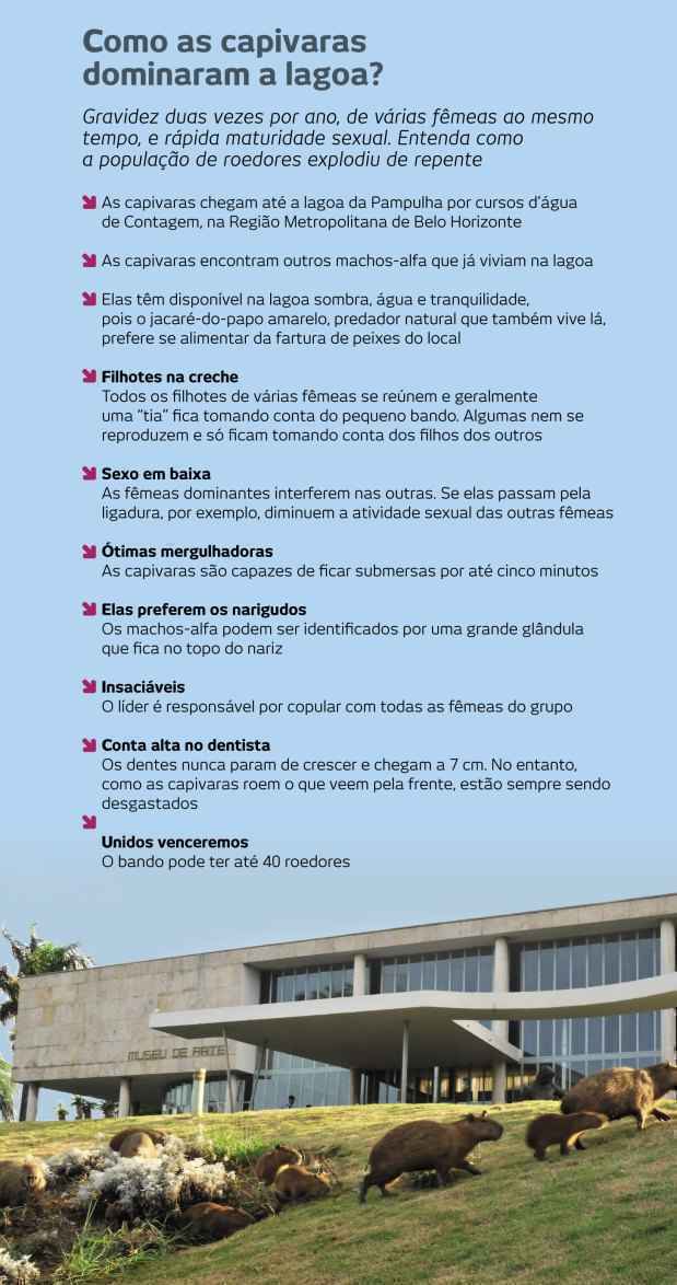 (foto: Marcos Michelin/EM/D. A Press) (foto: Marcos Michelin/EM/D. A Press)
