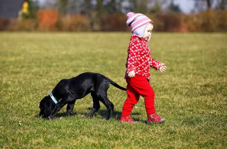 Mulheres com um pequeno pênis