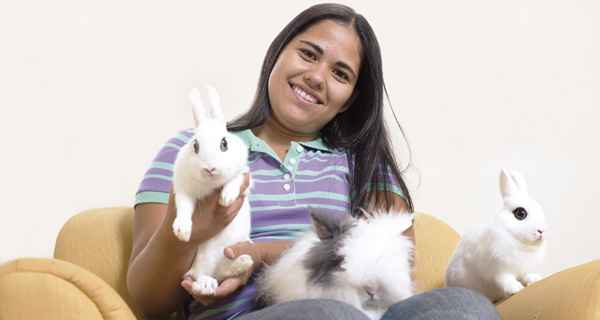 Segundo a cunicultora Lisly Gomide, os coelhos esto sendo descobertos como bichos 
de estimao e tem para todos os gostos: 