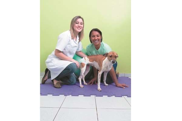 A veterinria Carine Matias e a enfermeira ngela Alves apostam na recuperao dos movimentos da cadela Vitria. 