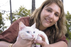 A pedagoga Andrea Lopes da Silva com o gato Milk Shake: at o vermfugo  natural(foto: Rogrio Sol/Encontro)