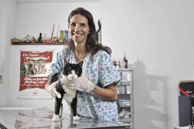 Após três meses tratando o gato Nestor, a veterinária Ericka Homam Delayte comemora o bom resultado: Após três meses tratando o gato Nestor, a veterinária Ericka Homam Delayte comemora o bom resultado: