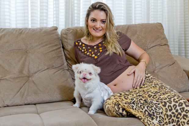 Em contagem regressiva para a chegada da primeira filha, a veterinária Marcela Ortiz não abre mão do convívio com a pequinês Paris: Em contagem regressiva para a chegada da primeira filha, a veterinária Marcela Ortiz não abre mão do convívio com a pequinês Paris: