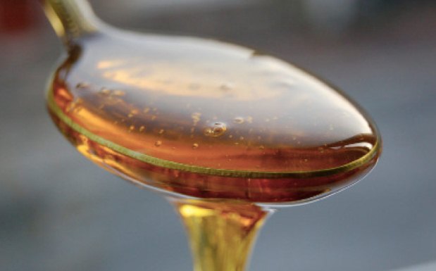 Segundo a nutricionista, a agave é um bom substituto para o açúcar, por possuir baixo índice glicêmico. Mas, em excesso, pode causar problemas no fígado(foto: Docakilah.wordpress.com/Reprodução) Segundo a nutricionista, a agave é um bom substituto para o açúcar, por possuir baixo índice glicêmico. Mas, em excesso, pode causar problemas no fígado(foto: Docakilah.wordpress.com/Reprodução)