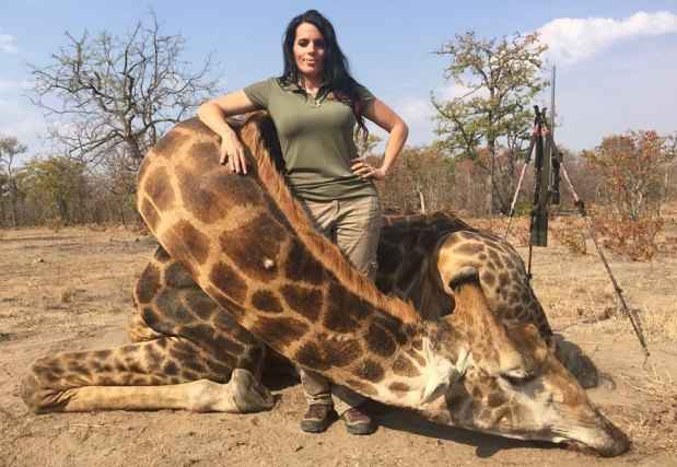A foto de Sabrina Corgatelli com uma girafa morta em caçada na África gerou ainda mais revolta nos internautas, especialmente nos usuários do Facebook(foto: Facebook/sabrina.corgatelli/Reprodução) A foto de Sabrina Corgatelli com uma girafa morta em caçada na África gerou ainda mais revolta nos internautas, especialmente nos usuários do Facebook(foto: Facebook/sabrina.corgatelli/Reprodução)