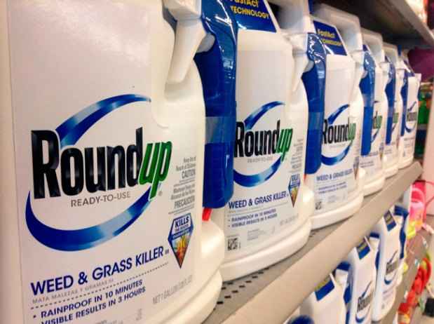 O Roundup é um dos mais usados agrotóxicos à base de glifosato. A polêmica substância foi criada pela Monsanto há 40 anos(foto: Internet/Reprodução) O Roundup é um dos mais usados agrotóxicos à base de glifosato. A polêmica substância foi criada pela Monsanto há 40 anos(foto: Internet/Reprodução)