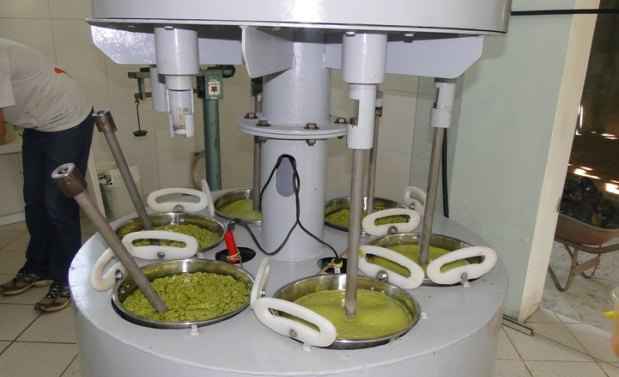 O óleo é extraído do abacate por meio da centrifugação ou pela prensagem, tal qual é feito com o azeite de oliva(foto: Epamig/Divulgação) O óleo é extraído do abacate por meio da centrifugação ou pela prensagem, tal qual é feito com o azeite de oliva(foto: Epamig/Divulgação)