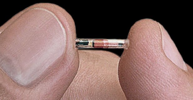 Os biochips atuais são do tamanho de um grão de arroz, e possuem a tecnologia RFID, sendo capaz de transferir informações apenas quando se aproximam de um leitor(foto: Sao163877.blogspot.com/Reprodução) Os biochips atuais são do tamanho de um grão de arroz, e possuem a tecnologia RFID, sendo capaz de transferir informações apenas quando se aproximam de um leitor(foto: Sao163877.blogspot.com/Reprodução)