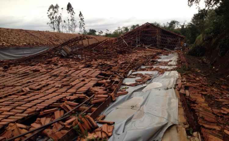 (foto: WhatsApp/Reprodução) (foto: WhatsApp/Reprodução)