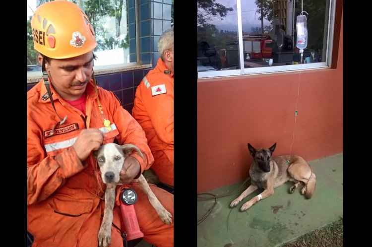(foto: Facebook/bombeiros.minasgerais/Reprodução) (foto: Facebook/bombeiros.minasgerais/Reprodução)