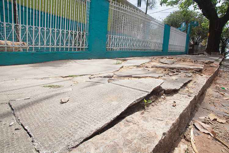 Rua São Domingos do Prata, esquina com Lavras, no Santo Antônio: passeio danificado pelas raízes de uma árvore (foto: Geraldo Goulart/Encontro) Rua São Domingos do Prata, esquina com Lavras, no Santo Antônio: passeio danificado pelas raízes de uma árvore (foto: Geraldo Goulart/Encontro)