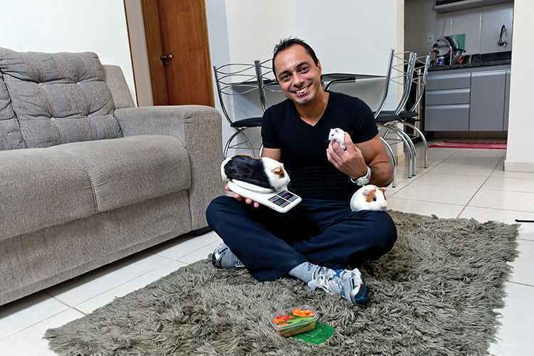 A porquinha-da-índia Ariel (na balança) e o hamster Gasparzinho estão de dieta: A porquinha-da-índia Ariel (na balança) e o hamster Gasparzinho estão de dieta: