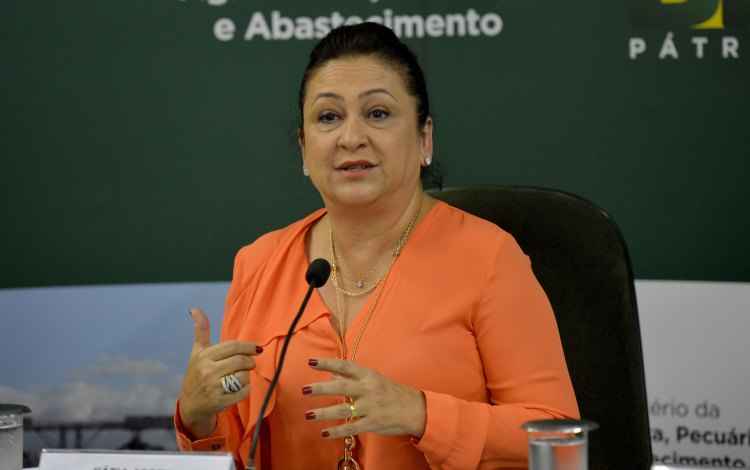(foto: Wilson Dias/Agência Brasil/Divulgação) (foto: Wilson Dias/Agência Brasil/Divulgação)
