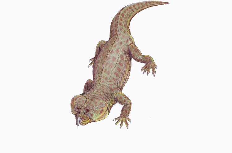 O brasinorrinco, espécie de rincossauro que viveu no Rio Grande do Sul há centenas de milhares de anos, era um animal diferenciado, especialmente devido a seu bico ósseo(foto: Divulgação) O brasinorrinco, espécie de rincossauro que viveu no Rio Grande do Sul há centenas de milhares de anos, era um animal diferenciado, especialmente devido a seu bico ósseo(foto: Divulgação)