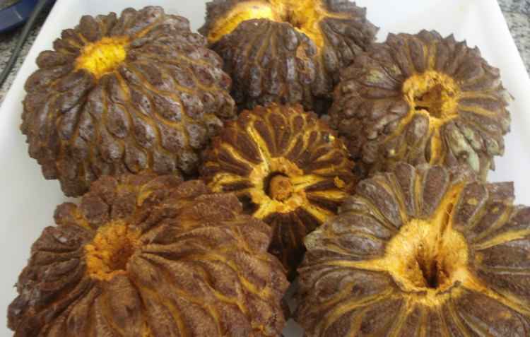 O marolo, fruta típica do cerrado, parecida com o araticum, foi uma das frutas escolhidas pela UFLA para a produção de doces funcionais(foto: UFLA/Divulgação) O marolo, fruta típica do cerrado, parecida com o araticum, foi uma das frutas escolhidas pela UFLA para a produção de doces funcionais(foto: UFLA/Divulgação)