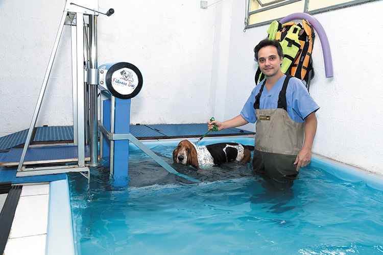 Para controlar a obesidade, o basset hound Bolota faz dieta e fisioterapia: Para controlar a obesidade, o basset hound Bolota faz dieta e fisioterapia: