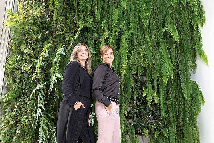 O jardim vertical residencial projetado pelas paisagistas Flávia D'Urso e Moema Bernardes traz plantas variadas: asparagus, cissus, samambaia e hera mesclam-se a orquídeas(foto: Ronaldo Dolabella/Encontro) O jardim vertical residencial projetado pelas paisagistas Flávia D'Urso e Moema Bernardes traz plantas variadas: asparagus, cissus, samambaia e hera mesclam-se a orquídeas(foto: Ronaldo Dolabella/Encontro)