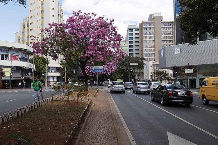 Avenida Getúlio Vargas, na Savassi: região foi delimitada em 1991, mas só se tornou bairro em 2009(foto: Ronaldo Dolabella/Encontro) Avenida Getúlio Vargas, na Savassi: região foi delimitada em 1991, mas só se tornou bairro em 2009(foto: Ronaldo Dolabella/Encontro)