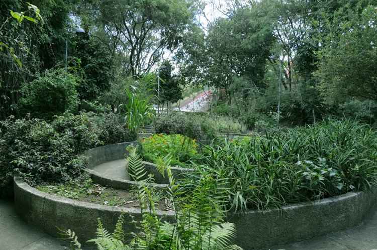 Um dos destaques do parque Primeiro de Maio é o herbanário, mantido e utilizado pelos moradores da região(foto: Flickr/PBH/Adão de Souza/Reprodução) Um dos destaques do parque Primeiro de Maio é o herbanário, mantido e utilizado pelos moradores da região(foto: Flickr/PBH/Adão de Souza/Reprodução)