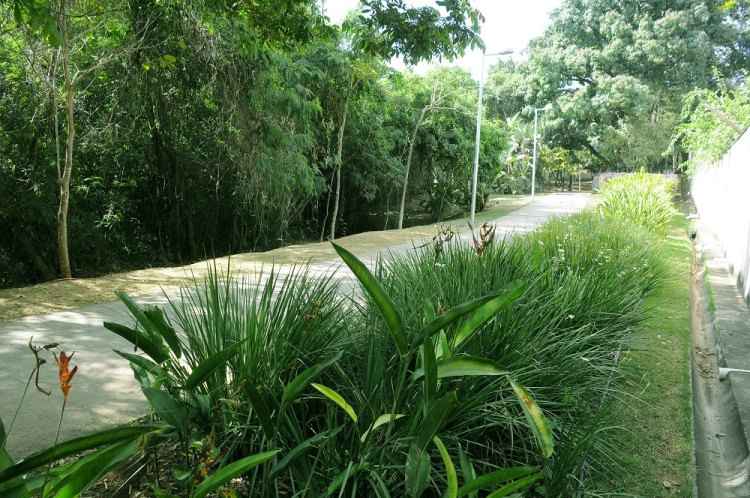 Quem curte prática esportiva pode usar a pista de caminhada de 500 m de extensão que existe na área de preservação(foto: Flickr/PBH/Adão de Souza/Reprodução) Quem curte prática esportiva pode usar a pista de caminhada de 500 m de extensão que existe na área de preservação(foto: Flickr/PBH/Adão de Souza/Reprodução)