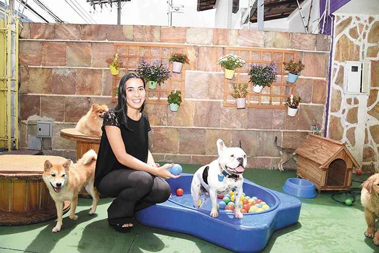 Enquanto a advogada Ana Cândida Lamoia de Moraes Britto viaja, o buldogue francês Nelson se hospeda no Matilha Real: Enquanto a advogada Ana Cândida Lamoia de Moraes Britto viaja, o buldogue francês Nelson se hospeda no Matilha Real: